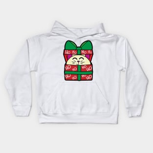 Cat in a gift box! Ho Ho Ho! Kids Hoodie